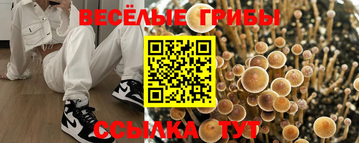 Дмитров  Псилоцибиновые грибы прущие грибы  Псилоцибиновые грибы GOLDEN TEACHER  дарнет шоп  Вход с VPN 